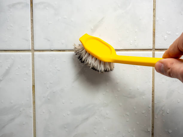 Best Local Mold Removal Service  in Ashwaubenon, WI