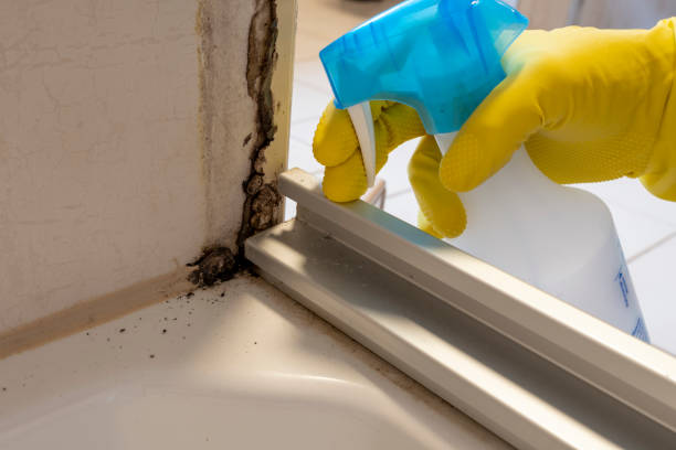 Best Crawl Space Mold Removal  in Ashwaubenon, WI